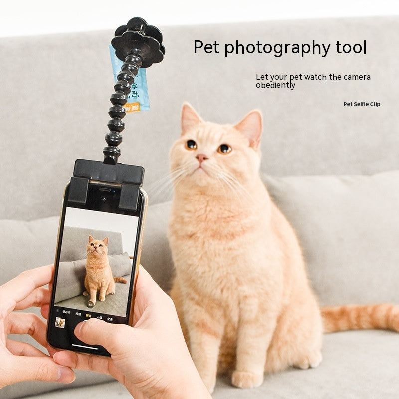 Pet Selfie Stick - Phone Holder for Dog & Cat Photography